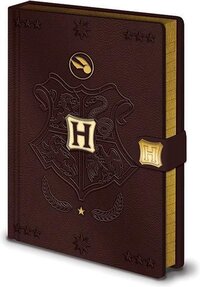 Pyramid International Harry Potter notitieboek A5 Premium – Quidditch