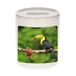 Toucan photo money box 9 cm boys and girls - Gift money boxes toucans / bird lover