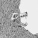 There's Honey In The Soil So We Wait For The... - LP - Standard Edition