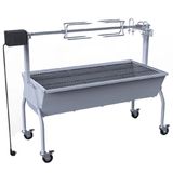 VidaXL 250028 Buitenbarbecue & Grill Verrijdbaar Houtskool Zilver