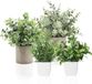Ibenzoa® Set de plantes artificielles, 4 pièces