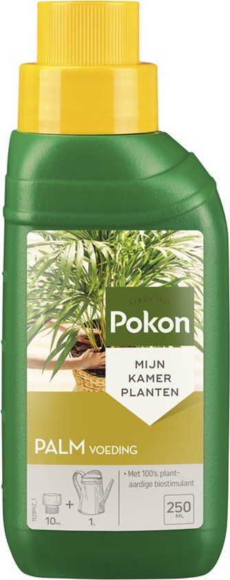 Pokon palm voeding 250 ml
