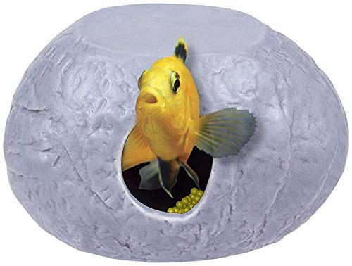 Penn-Plax Cichlid Hoed