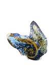 Desigual sjaal Zenyra Rectangle Foulard Black veelkleurig
