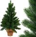 GOLIAT Sapin artificiel Filip avec pied, hauteur 50 cm, couleur vert, produit en Pologne