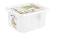 Keeeper Karolina boîte de rangement rectangulaire polypropylène (PP) transparent, vert, brun