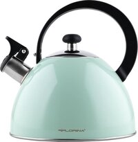 Florina Brillo Fluitketel - 2.5L - Mint Groen - Geschikt voor Alle Warmtebronnen