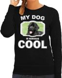 Bellatio Decorations Newfoundlander Honden Trui / Sweater My Dog Is Serious Cool Zwart - Dames - Newfoundlanders Liefhebber Cadeau Sweaters M