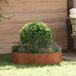 vidaXL Plantenring Roestig 80 x 80 x 20 cm Weervast Staal