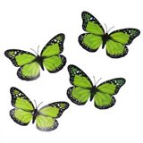 Gerimport Decoratie / hobby vlinders - 4x stuks - groen - op clip - 12 x 6 cm - kunststof