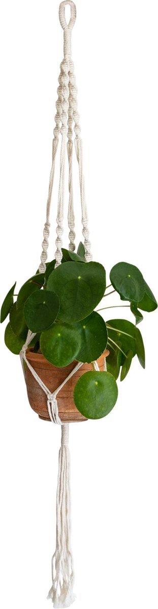 QUVIO Plantenhanger voor bloempot - Hangpot - Hangende bloempot - Plantenhanger macrame - Plantenhanger binnen - Hangpotten - Plantenbakken - Hanging baskets - Gevlochten touw met spiralen