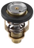 Suzuki Thermostaat Set voor Buitenboordmotor - 60C 140F met Seal