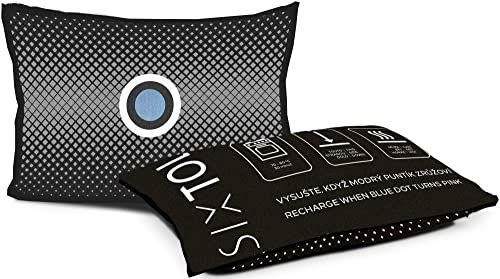 SIXTOL Autoontvochtigingskussen Dry Car One 1x 350g | grijs