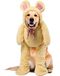 Rubies Wandelende teddybeer huisdier kostuum, XXX-Large