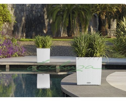 Lechuza Plantenbak Cube Cottage 40 wit