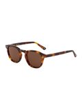 Corlin Todd Zonnebril karamel / cognac / donkerbruin