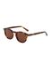 Corlin Todd Zonnebril karamel / cognac / donkerbruin