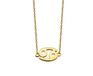 Jwls4u BV Kreeft Ketting Gold-plated Zodiac ZN007G