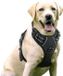 Unyqoos® Harnais pour chien réglable
