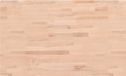 vidaXL Tafelblad rechthoekig 100x60x4 cm massief beukenhout