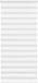 vidaXL Zebra rolgordijn 105x200 cm stofbreedte 100,9cm polyester wit