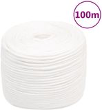 vidaXL Boottouw 8 mm 100 m polypropyleen volwit