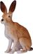 Mojo Wildlife Haas - 381072