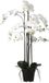 Mica Decorations Phalaenopsis Kunstplant - H97 cm - Crème
