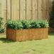 Maison Exclusive - Jardinière surélevée, 120x80x40 cm, finition acier Corten