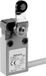 Panasonic MEM1G41ZD MEM1G41ZD Interrupteur de fin de course 24 V 5 A Levier à rouleau IP67 1 pièce(s)