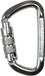 Climbing Technology D-Shape karabiner TG zilver
