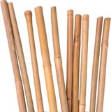 UNUS® Bamboestokken, tonkinstokken, plantensteunen 120 cm, 25 stuks