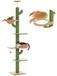 Arbre à chat cactus - Sol au plafond - Poteau griffoir avec sisal - 205 à 255 cm