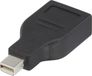 Renkforce RF-4174572 Mini DisplayPort vers DisplayPort adaptateur, Noir
