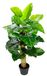 Flair Flower Splitphilo pot, kunstbloem, polyester