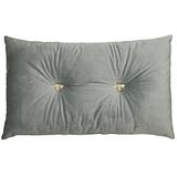 Bumble Riva Paoletti Bumble Rechthoekig Bijenstrooisel Kussen - Zilver - Faux Velvet Look and Feel - Metalen Bijenknopen met juwelen - Polyfilled - 100% Polyester - 30 x 50cm