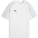 PUMA teamLIGA26 Jersey Jr, 116, Wit Zwart-Plat Lichtgrijs