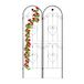 Merkloos / Sans marque Relaxdays plantensteun set van 2 - 180 x 50 cm - steeksysteem - klimplantenrek vrijstaand - ijzer - zwart