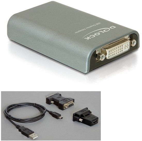 Delock - Externe video-adapter - 128 MB SDRAM - USB 2.0 - DVI, D-Sub