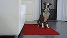 GEMITEX Tapijt Merlino Animal/Pet 75 x 120 cm, Bourgondië, Ultrabove, Polyester