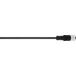 LAPP 22260377 Sensor/actuator aansluitkabel M12 Aantal polen (sensoren): 4 25 m 1 stuk(s)