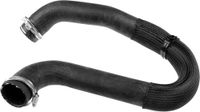 GATES Turbolader slang 09-0599