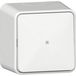 Gira Wip-Controle Interrupteur + Plaque de montage AP Blanc pur [311613]