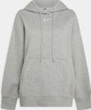 Nike W NSW PHNX FLC OS PO HOODIE Dames Sporttrui - Grijs - Maat L