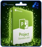 Microsoft Project 2019 Standard - volledige versie, permanente licentie