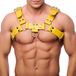The Red Harness BUCKLE Yellow Leather Harness