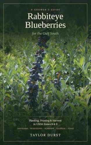 Rabbiteye Blueberries for the Gulf South: Planting, Pruning, and Harvest in Zones 8 to 9