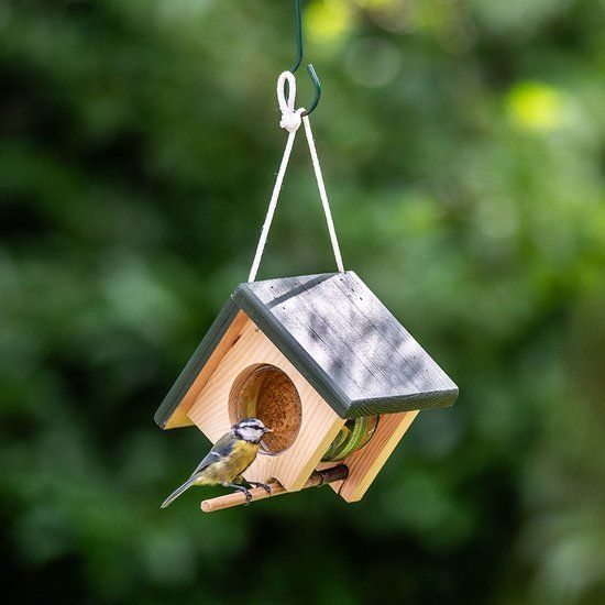 Vogel pindakaaspothouder met gewichtssysteem - Hangmodel - Bruin/Groen - 5051054293226