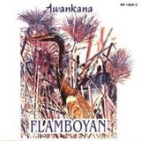Flamboyan: Wergo Flamboyan