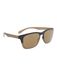 Alsteca Overtown C30 Zonnebril Brons